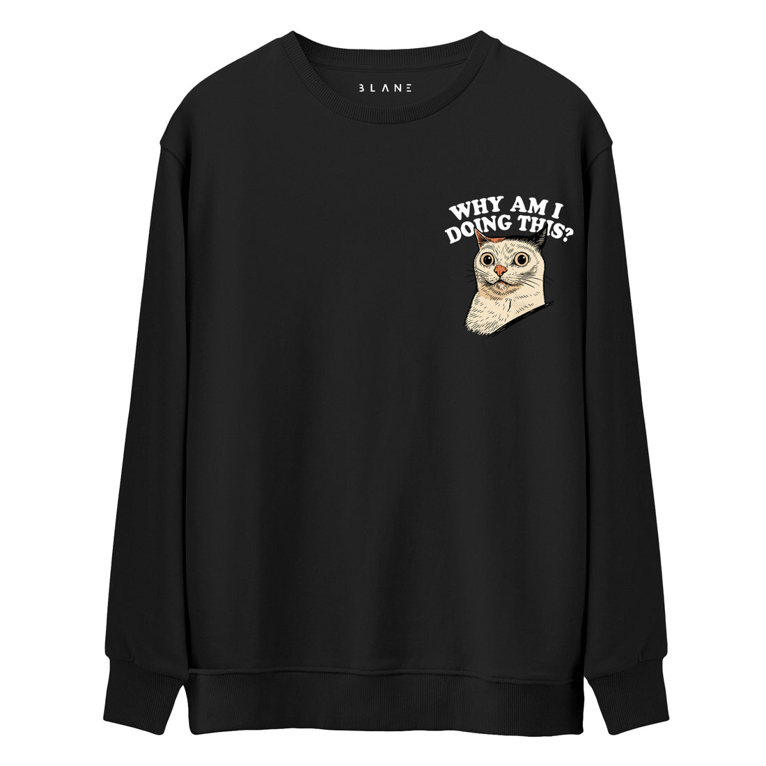 Why Am I Doing This? - Premium Sweatshirt
