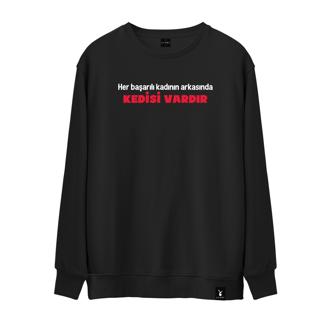 Her Başarılı Kadının Arkasında Kedisi Vardır - Sweatshirt