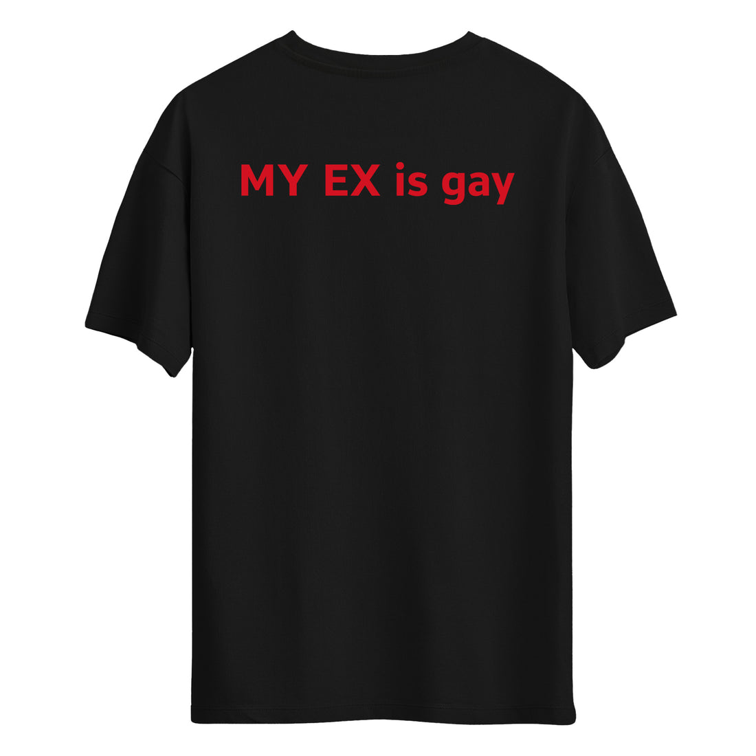 My Ex Is Gay - Regular T-Shirt